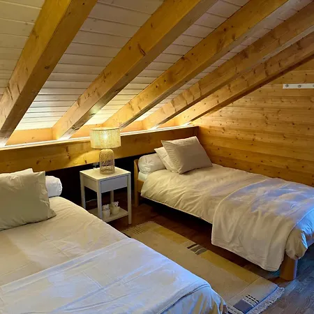 Apartment Duplex Spacieux Et Plein De Charme A Crans-montana *